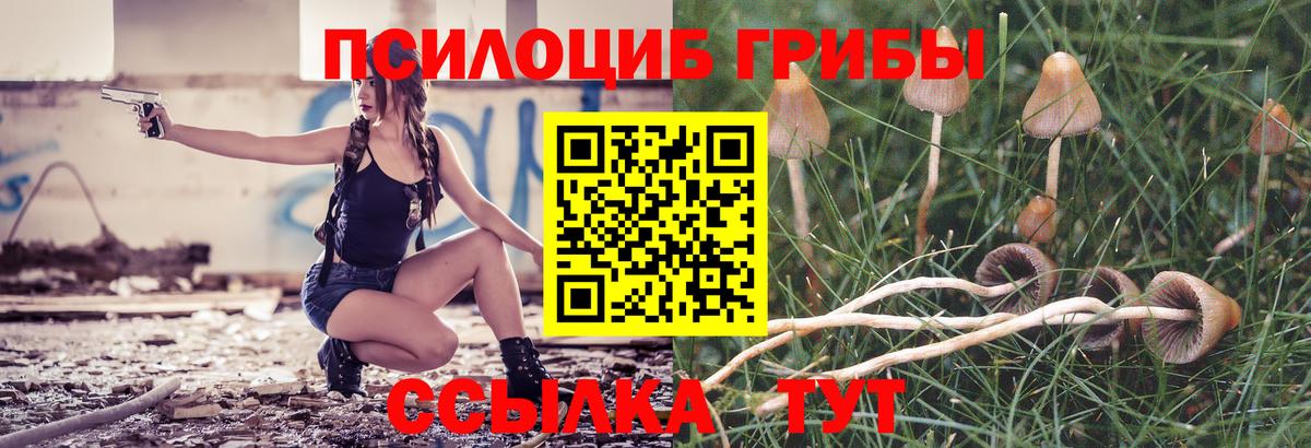 Нововоронеж  Галлюциногенные грибы GOLDEN TEACHER  Вход с VPN 