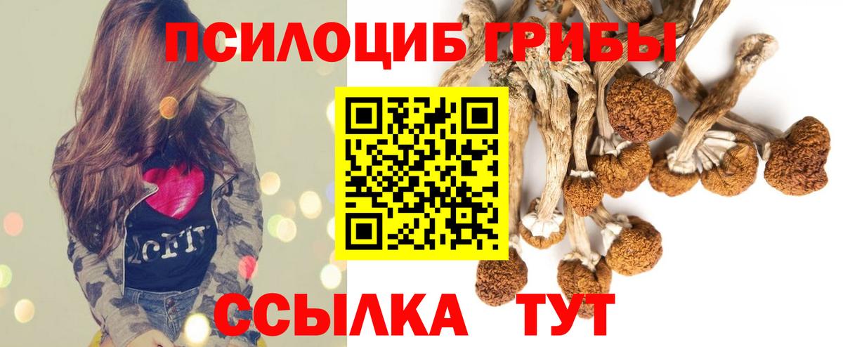 Галлюциногенные грибы GOLDEN TEACHER Нововоронеж